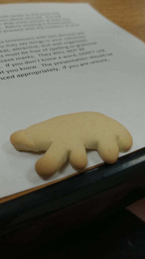 Tf happened to my animal cracker 🤣🤣