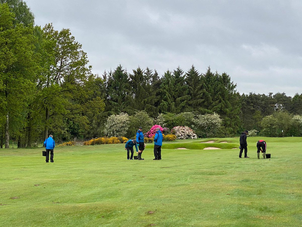fulfordgolfclub's tweet photo. Thank you to the members who braved the elements to help with this morning’s divoting party #lookafteryourcourse https://t.co/jbBrJEovfG