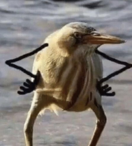 crypto_birb's tweet photo. $ETH still sub 3k https://t.co/uOu52xcuMY