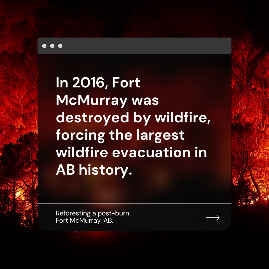 flash_forest's tweet image. Like its people, the ecosystems of Fort McMurray, Alberta are resilient. This week we helped them along by conducting the first drone reforestation trial ever in Fort McMurray. 

#FlashForest #FortMacStrong #Reforestation #DroneReforestation #Wildfire #PostBurn #ClimateChange