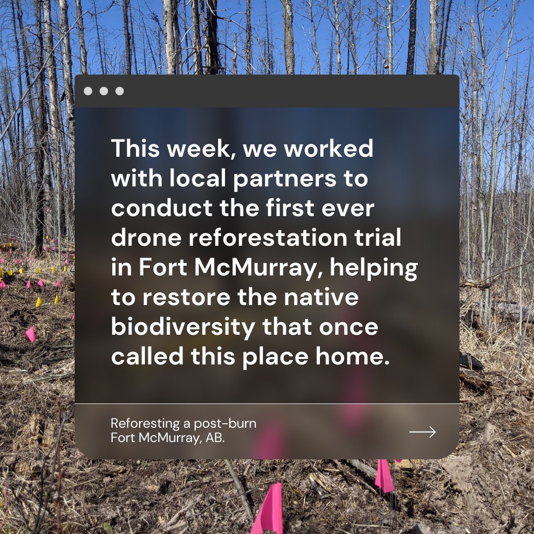 flash_forest's tweet image. Like its people, the ecosystems of Fort McMurray, Alberta are resilient. This week we helped them along by conducting the first drone reforestation trial ever in Fort McMurray. 

#FlashForest #FortMacStrong #Reforestation #DroneReforestation #Wildfire #PostBurn #ClimateChange