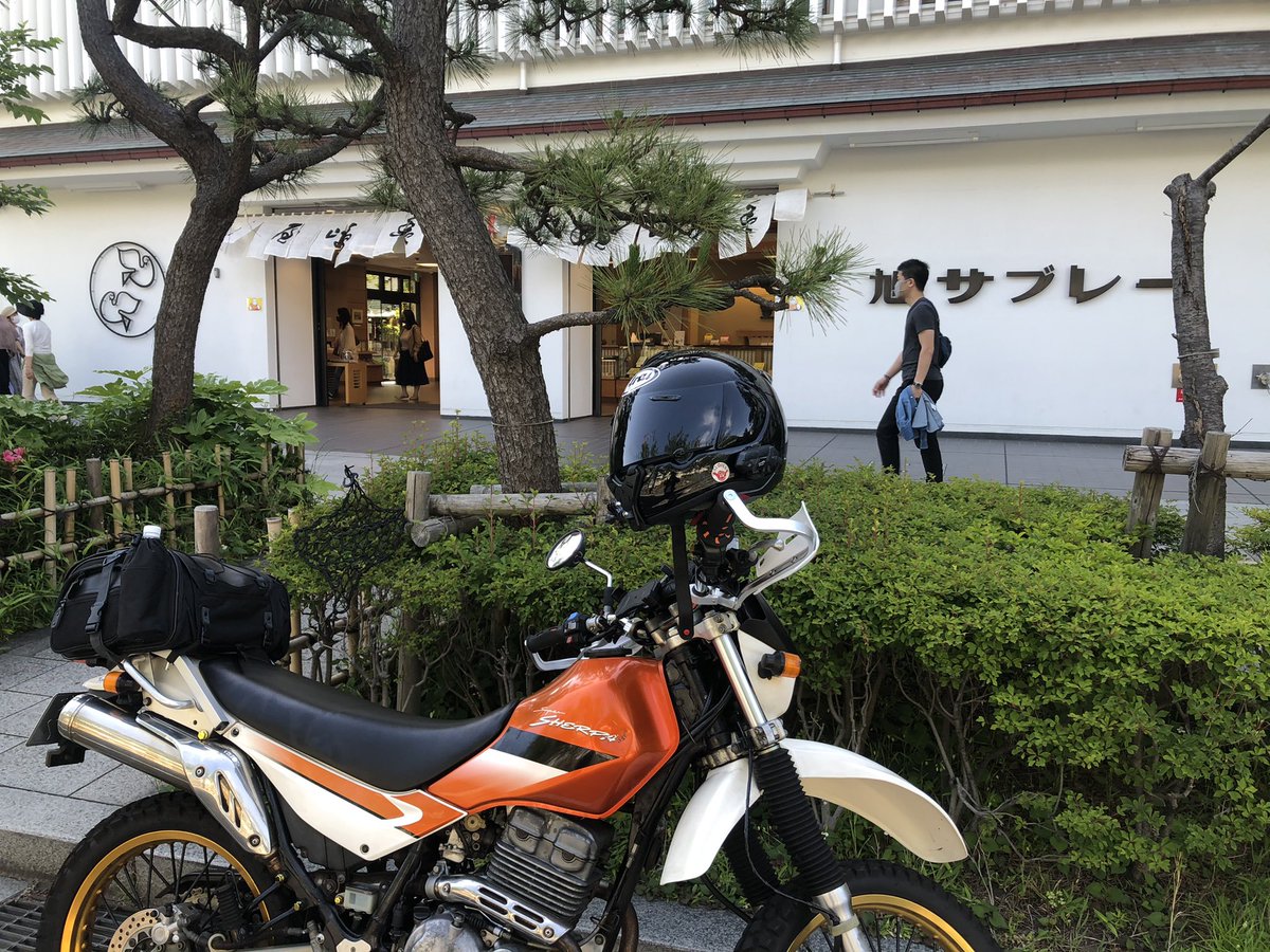 _koum08's tweet photo. 鳩サブレー https://t.co/QIb8wRbAhf