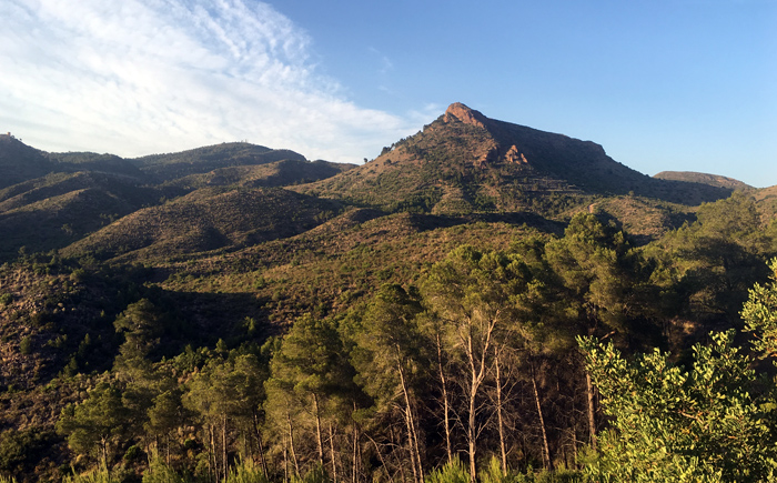 LIFE RESILIENT FORESTS (@life_resilient) on Twitter photo 👉Científicos afirman en #SCIENCE📖 que la idea de plantar árboles🌳🌲 como sustituto de la reducción directa de las emisiones de gases de efecto invernadero podría ser una quimera.
👨💻Lo explican en esta noticia que recoge <a href="/europapress/">Europa Press</a>.
bit.ly/3fQ3TV4 👉Científicos afirman en #SCIENCE📖 que la idea de plantar árboles🌳🌲 como sustituto de la reducción directa de las emisiones de gases de efecto invernadero podría ser una quimera.
👨💻Lo explican en esta noticia que recoge <a href="/europapress/">Europa Press</a>.
bit.ly/3fQ3TV4