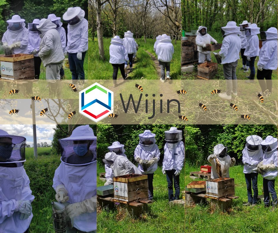 Semaine dernière, visite de nos ruches abritant des abeilles noires de Bretagne🐝. En lien avec nos engagements et un apiculteur (ultra) passionné, l'équipe a profité de ce moment convivial, instructif et fédérateur! RDV en Août pour la récolte du miel ! #biodiversité #wijin