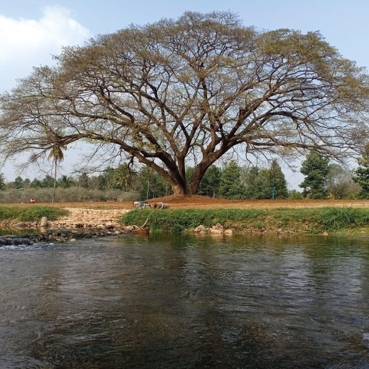 camper_in's tweet photo. 🌳The Tree จังหวัดราชบุรี
🌳 ดูข้อมูลเพิ่มเติมได้ที่ : https://t.co/ScwPg85Nxi

🌳ขอบคุณภาพจากเพจ : The Tree

#เที่ยว #แคมป์ #วันหยุด #thetree #จุดกางเต็นท์ #ทริป https://t.co/Qco6Ny5wuq