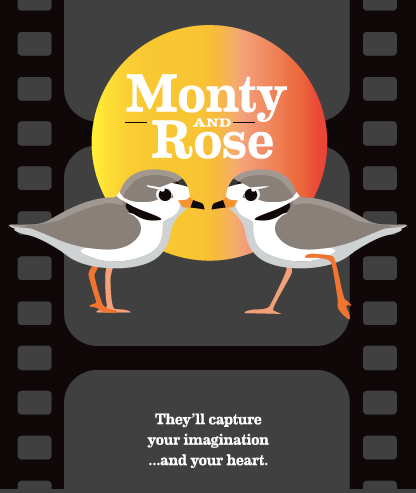 ontarioplovers's tweet photo. Screening tonight! Catch this short film on the return of Piping Plovers to a busy beach in Chicago ⛱ 🐣🐥. Don't miss out!
Register here 👉 https://t.co/HqT2DkhQYQ 🎥🎬 https://t.co/Dr2Ju8EWcb