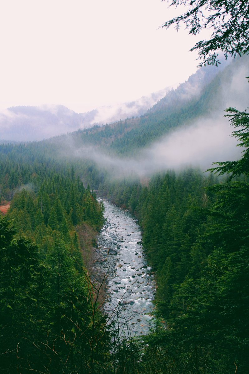 jordanwolfeABT's tweet photo. Today’s forecast: cloudy with a chance of ADVENTURE! Gold Creek Lookout Trail at Golden Ears Provincial Park #AdventureFV #ABTatUFV https://t.co/xZ92ygQC9T