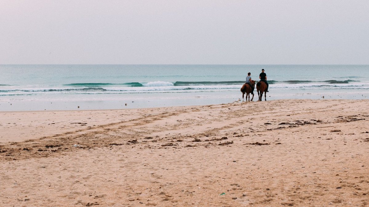 In this article, we’ve put together a list of top destinations (in no particular order) where you can soak up the sun, take in plenty of fresh air, dip your toes in the salty water and spend some quality time bonding with your equine friend:
bit.ly/3aHhBrU