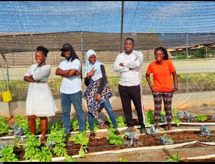 The Indigenes tweet media