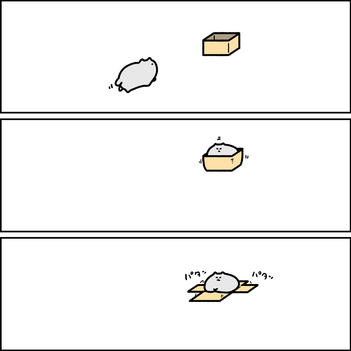 箱が小さいネコ 