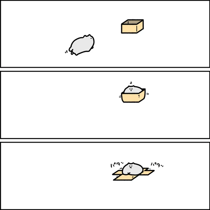 箱が小さいネコ 
