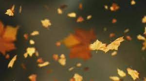 bionicanadian's tweet image. A leaf waiting in the
.. wanting you to believe
beside your voice
the only thing I could be
touches falling like autumn breezes
just some of the gentle things I'll miss
as winter nothings me
lonely...

#vssDreams