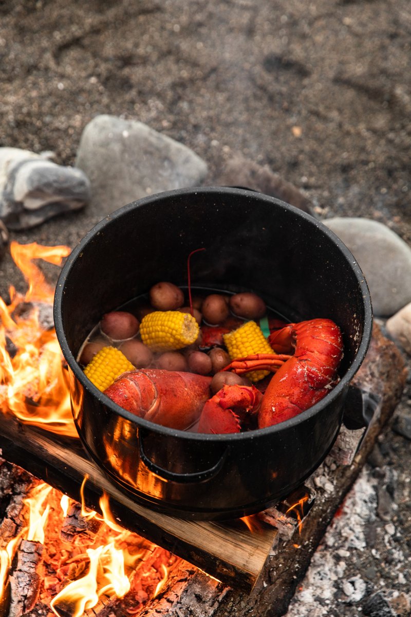 CSTravelTourism's tweet photo. 🦞Lobster appreciation post🦞If you're a fan of this dish, you need to visit a Maine Lobster Shack—a perfect way to enjoy Maine’s favorite seafood alfresco
https://t.co/AG7gMrsAEr  

#traveldreams https://t.co/FDOPUAG9n5