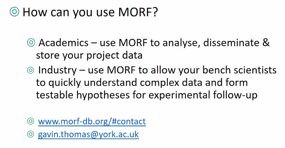 HVB_net's tweet image. Gavin Thomas, @GavinHThomas @BiologyatYork - introducing MORF to explore multi-omics data. Explore MORF: morf-db.org