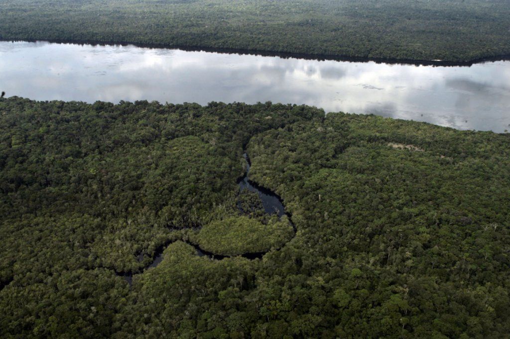 JovemPanNews's tweet photo. OPINIÃO: "Estudo da ONU aponta que Brasil é líder na proteção de florestas." l Kellen Severo

https://t.co/aUWOB13Aof https://t.co/LDP6tcCZxa