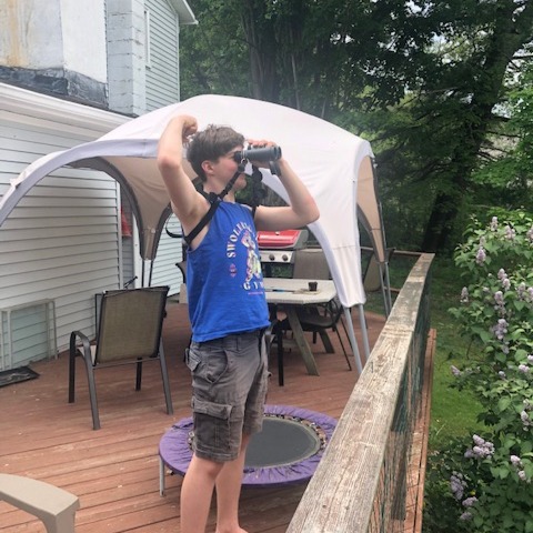 Cope Environmental tweet media