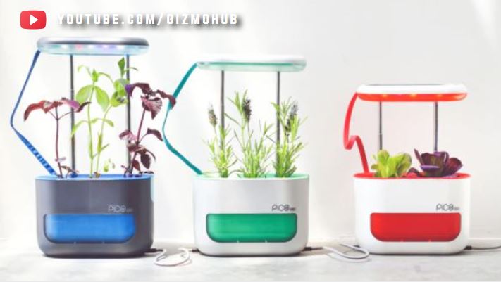 HubGizmo's tweet image. PICO MAX: GROW A GARDEN ANYWHERE | Gizmo Hub

➤ Watch Video (Buy Link in the Video Description) - youtu.be/rrPVx5L6Fqw

#picomax #picomaxgarden #picogarden #picoindoorplant #picomaxindoorplant #picomaxsmartindoorgarden #indoorgarden #indoorplant #kickstarter #picomaxplant