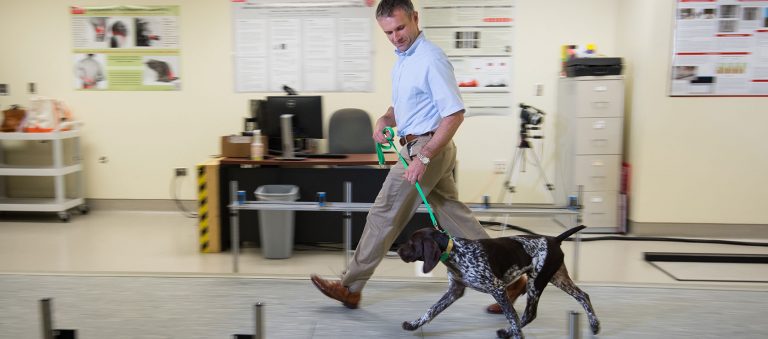 CVMResearch's tweet photo. A recent article coauthored by several CVM faculty aimed to assess the relationship between serum artemin (ARTN) concentrations &amp; measures of sensitivity in dogs with Osteoarthritis-associated pain using quantitative sensory testing
Click the link to read!
https://t.co/ujVlMcrRWS https://t.co/tj54LFSoqn