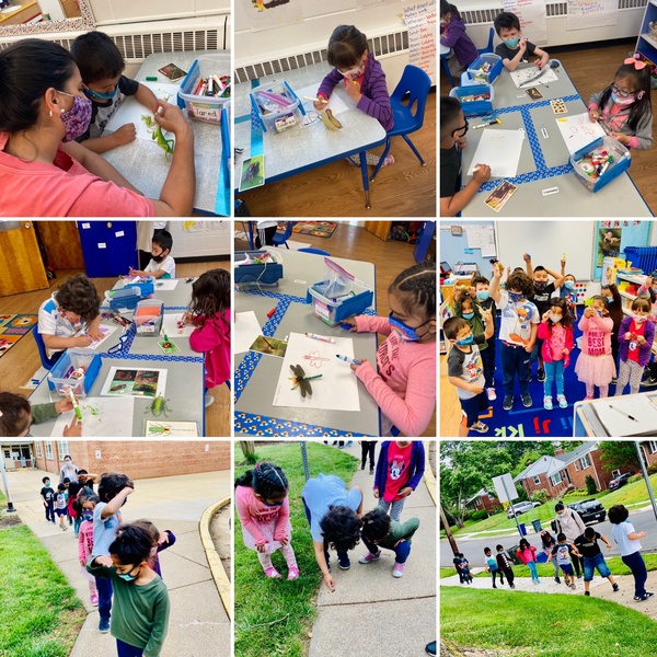 MainStreetCDC's tweet image. Spring is a wonderful time of year to have an insect study! This year has been particularly eventful as we watch the cicadas emerge and then listen for their sounds! 
#learninginaction #earlychildhoodeducation #cicadas