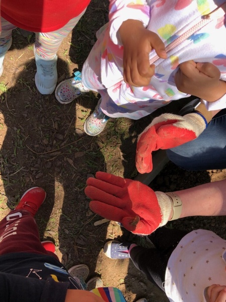 MainStreetCDC's tweet image. Spring is a wonderful time of year to have an insect study! This year has been particularly eventful as we watch the cicadas emerge and then listen for their sounds! 
#learninginaction #earlychildhoodeducation #cicadas