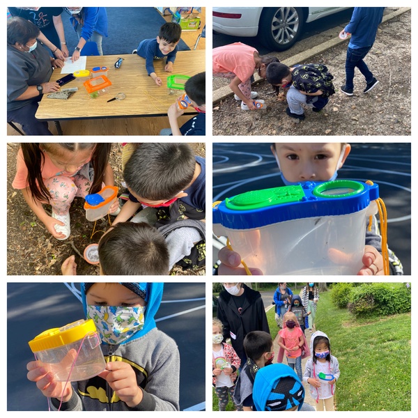 MainStreetCDC's tweet image. Spring is a wonderful time of year to have an insect study! This year has been particularly eventful as we watch the cicadas emerge and then listen for their sounds! 
#learninginaction #earlychildhoodeducation #cicadas