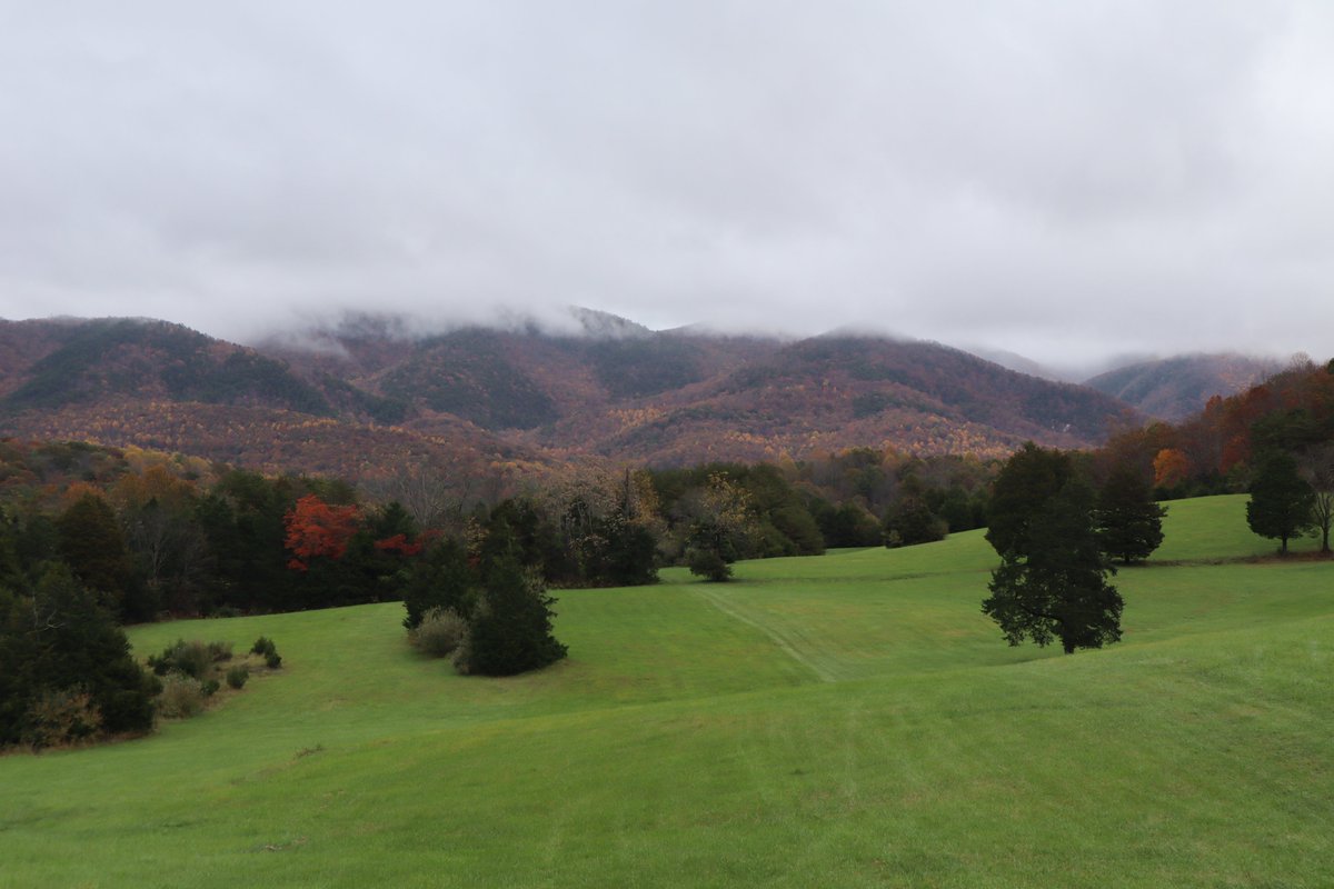 CaptainPuck's tweet image. 