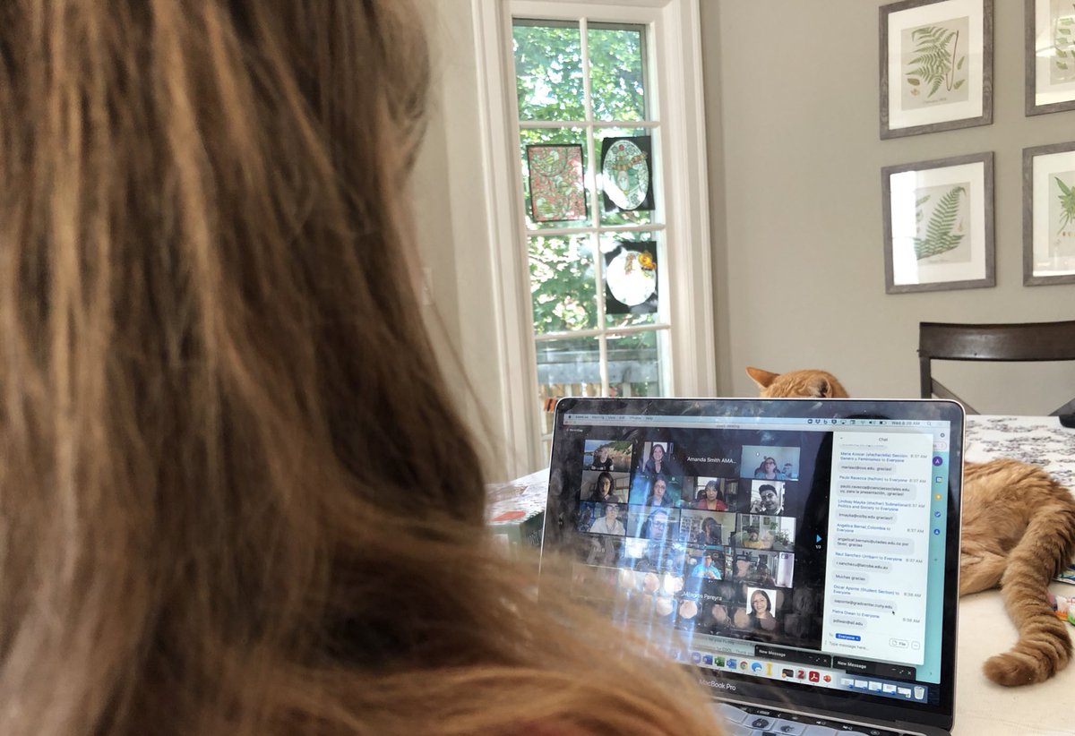 Dr. Ashley Kerr tweet media