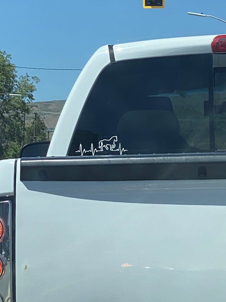 Avistheman's tweet photo. Think I might’ve found the worst sticker ever https://t.co/8tqGJUvf0T