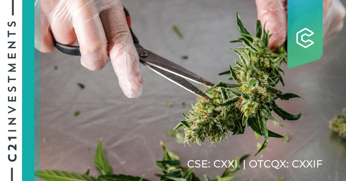 A quick reminder!

We look forward to sharing our fiscal year-end financial results tomorrow, May 27th, after market close.

$CXXI $CXXIF #CannabisStocks #CannabisInvesting #Potstocks #Cannabiz