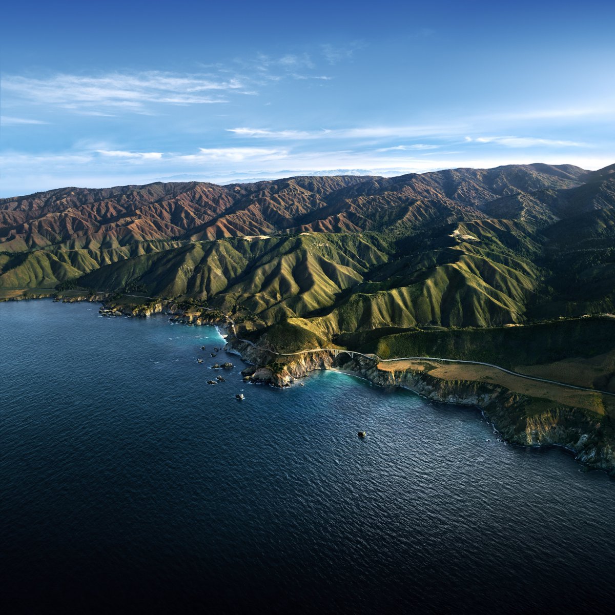 Big Sur tweet media