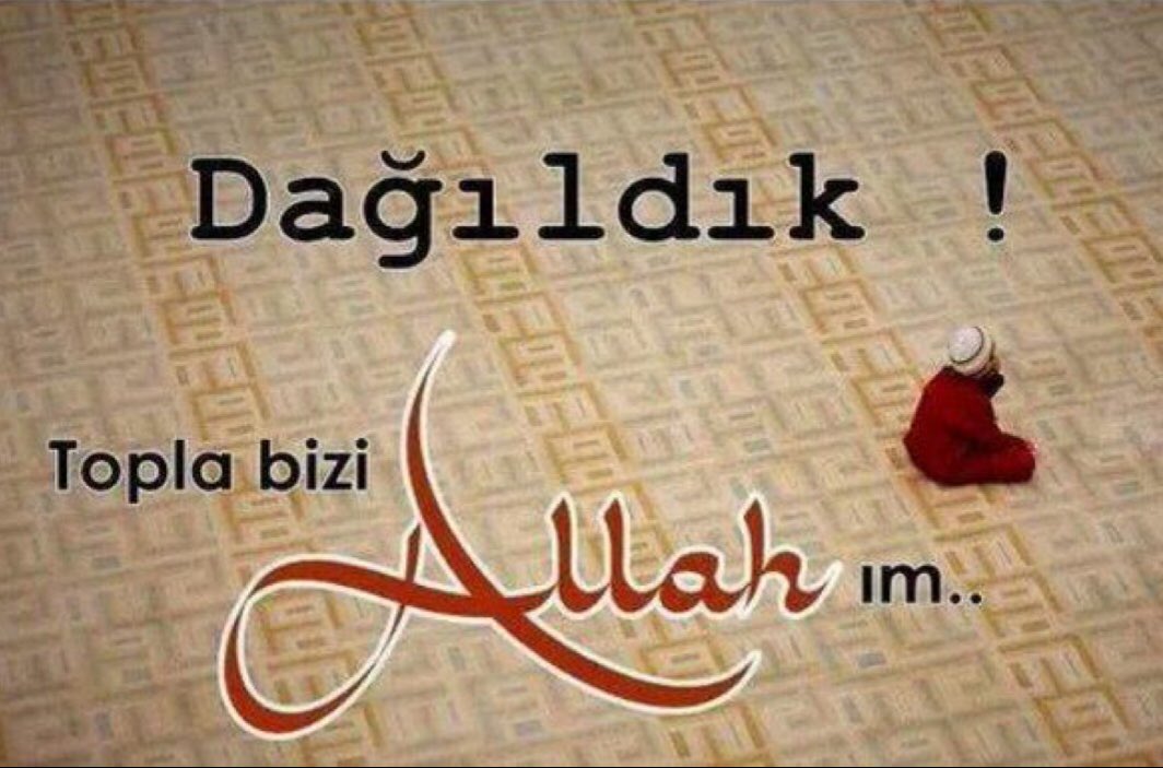 mhmrtgn tweet media