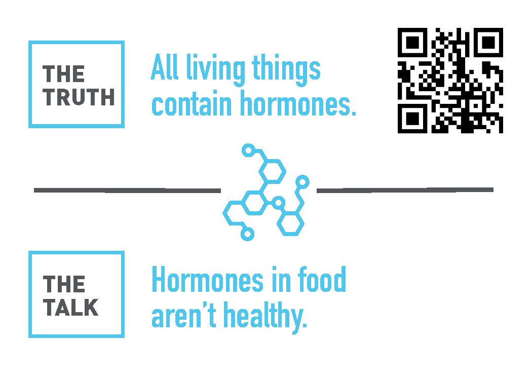 Guess what day it is? #WineTrailWednesday. Check out this raspberry swirl cheesecake featured at Bias Winery during the #farmerstablewinetrail. Meet a dairy farmer to learn more about milk production at findourcommonground.com/farmers-table.