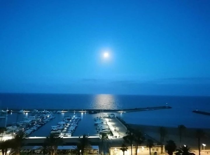 reiet77's tweet image. Hoy todo está tan lejos, pero la pena vuelve,
como si fuera un pájaro nocturno
cruzando por delante de la luna.
Lo que sea la muerte no me importa.
No sé si es un acierto. Pero sé
que no se trata de un error. 

~ Joan #Margarit - 'Animal de bosque'