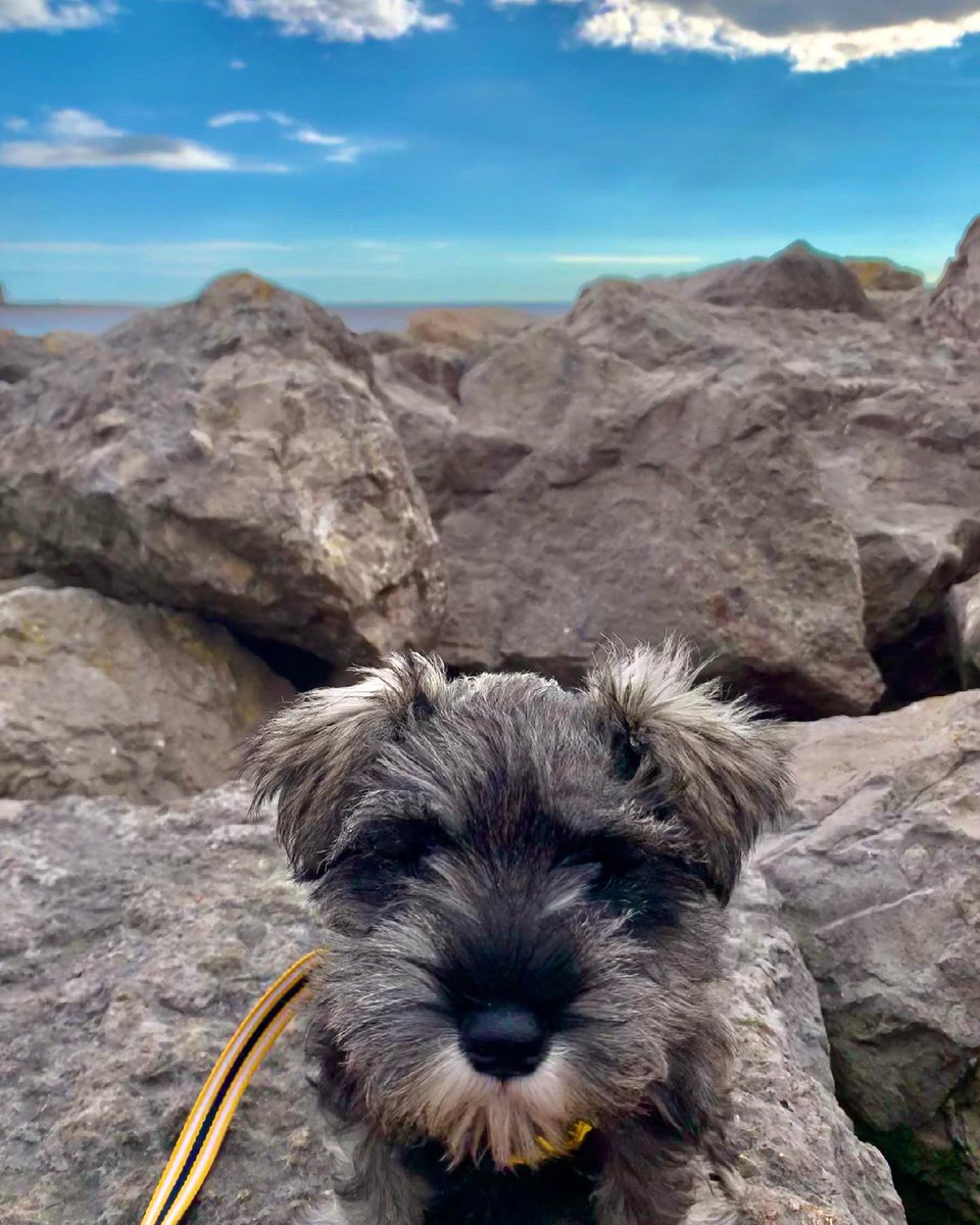 EmJoPaul's tweet photo. Lovely early evening stroll down #MorecambeProm tonight.
Much needed walk to blow some cobwebs away 🕸 https://t.co/eg2sfRrZKd