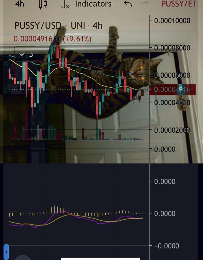 00Emp2's tweet photo. @dougboneparth Hello, I could recommend #hodl $pussy is an ERC20 token built on the Ethereum blockchain https://t.co/csPsRY33rb we have a great community, you can stop by and visit https://t.co/807PV1euLw
#PUSSYFinancial #PUSSYArmy #PussyCoin #MemeCoin #CryptoCurrency #Crypto #CryptoNews https://t.co/TVPIdxBJE7