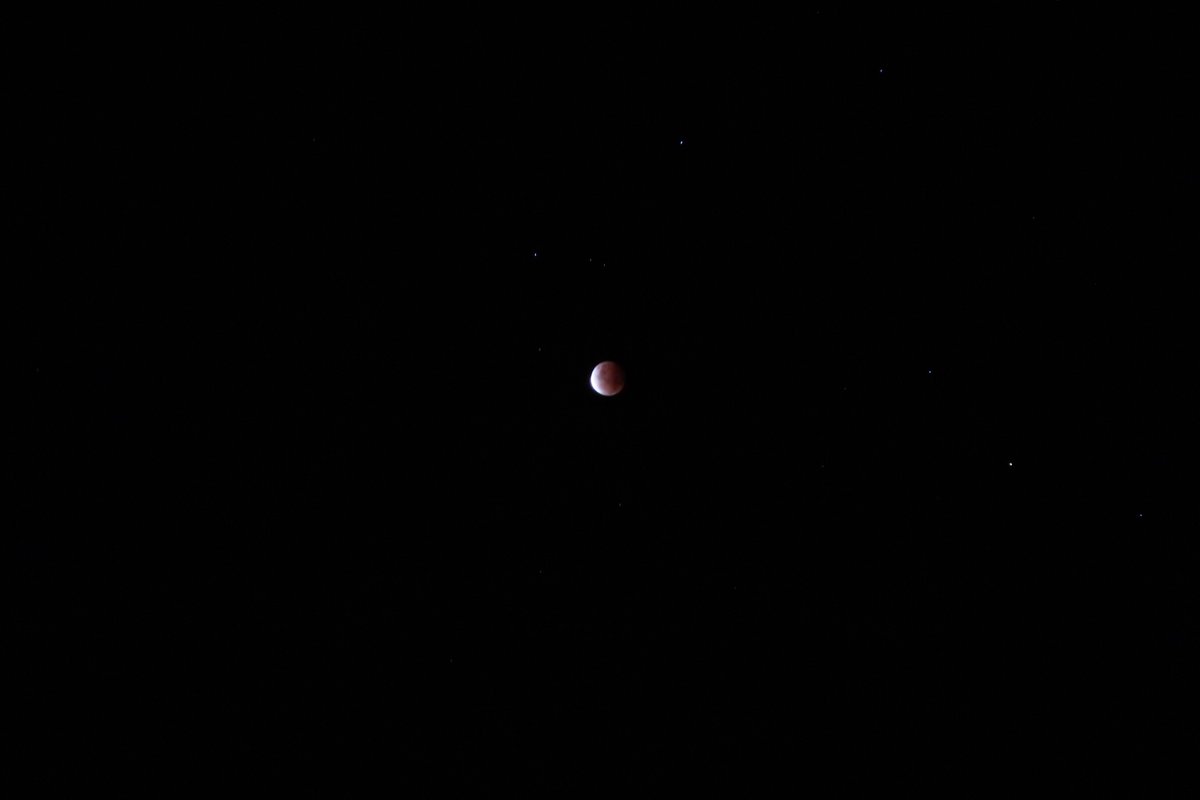 missrockabilly1's tweet photo. Super Blood Moon 🌒 
#superbloodmoon #LunarEclipse #fullmoon https://t.co/odloDVTsxE