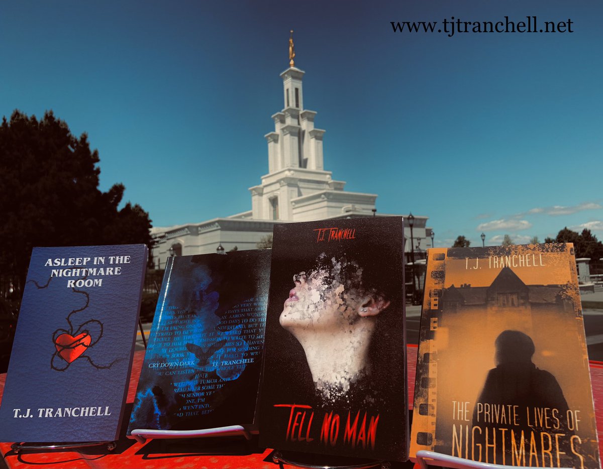 I write books for you to read. Ghosts and heartbreak; demons and single mothers; vampires and karaoke; cakes and unusual ingredients. All these CSN be yours. 

tjtranchell.net/shop