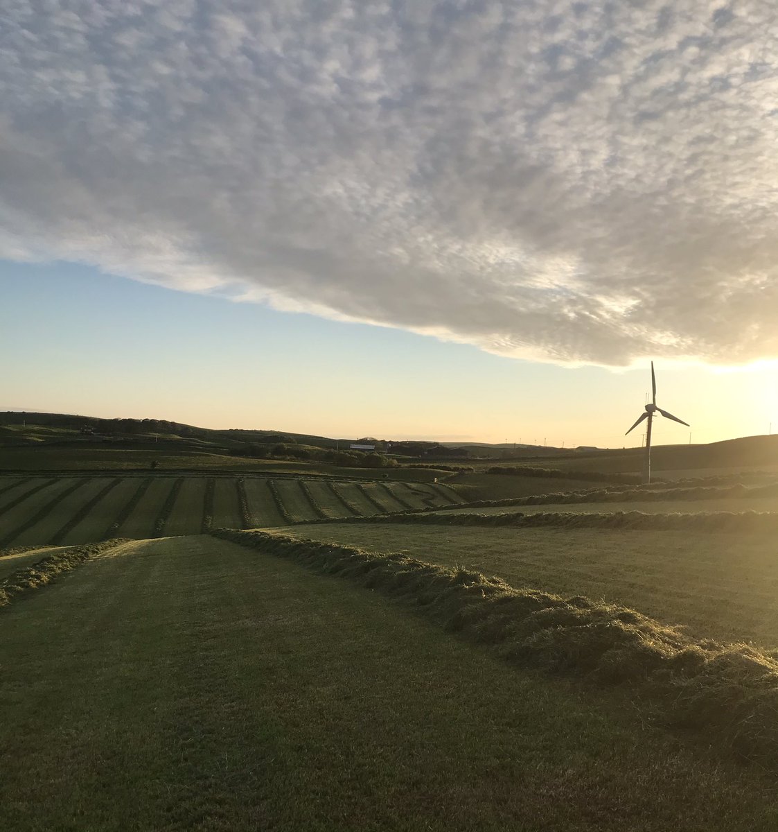 Scott_Service3's tweet photo. 1st cut underway🌱 https://t.co/qGI6b9rLpC