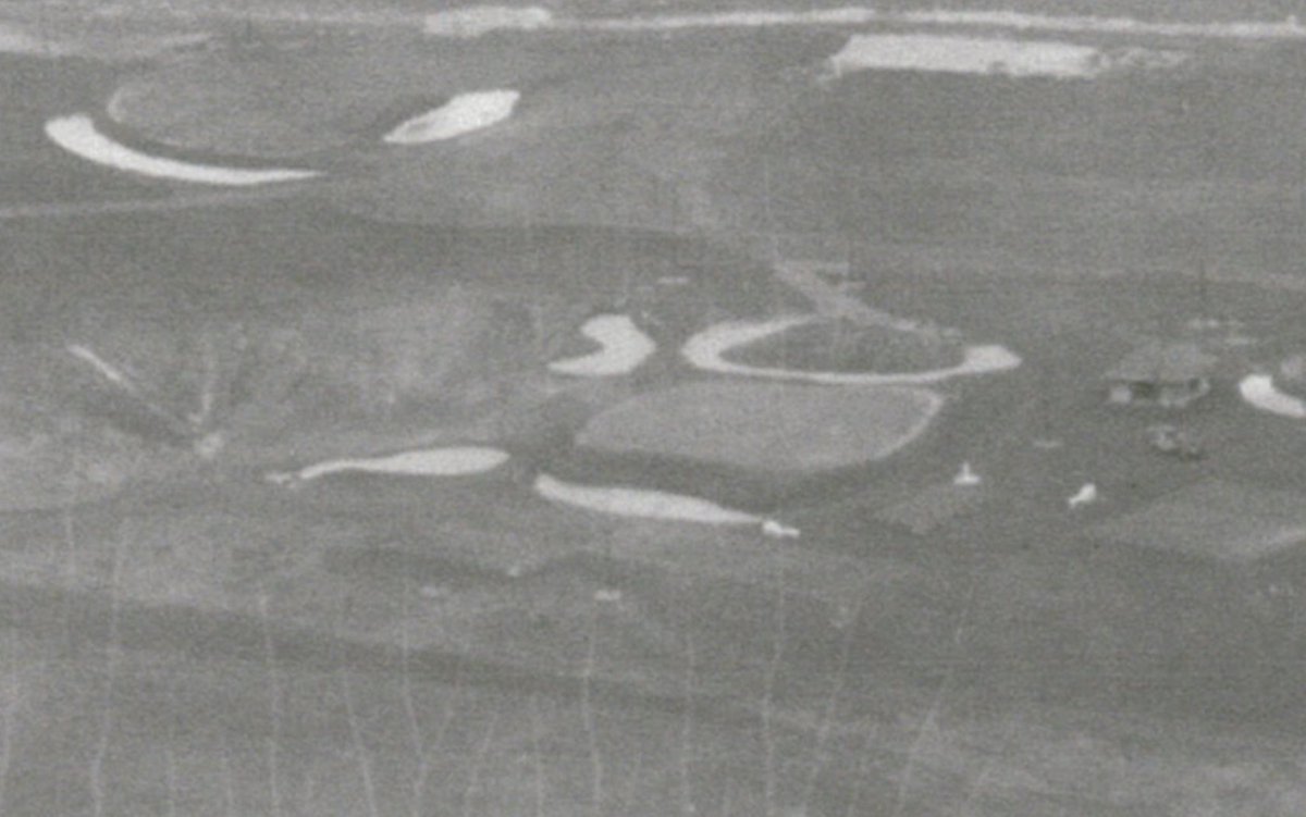 Andrew Green tweet media