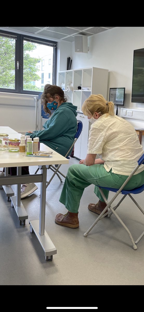 UoS Occupational Therapy tweet media