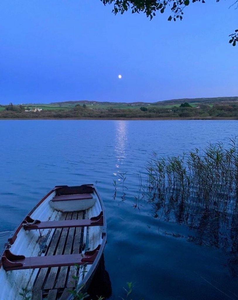 Love this photo by @lissard.estate 
Honestly one of my favorite places in Ireland, the House, the gardens, the lakes and the sky garden are absolutely amazing down there! 
An absolute must visit!