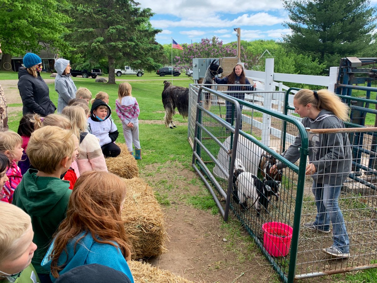 dvoce67's tweet photo. Thanks to the Anderson’s for having our Mora Mustang Kindergarten students visit their farm.  Our FFA &amp; 4H students helped teach the students about the animals.  What a great tradition.  @MoraElem https://t.co/5dYyMFUfj0