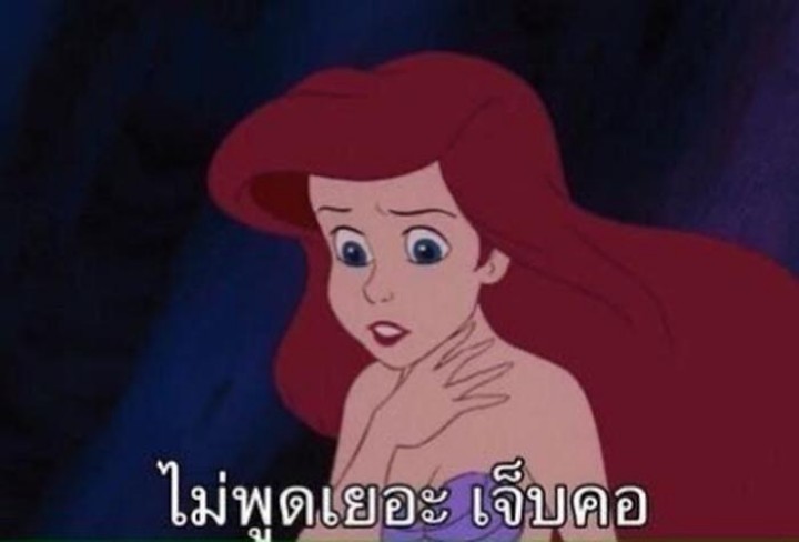 CHARLOTE rest.สอบ tweet media