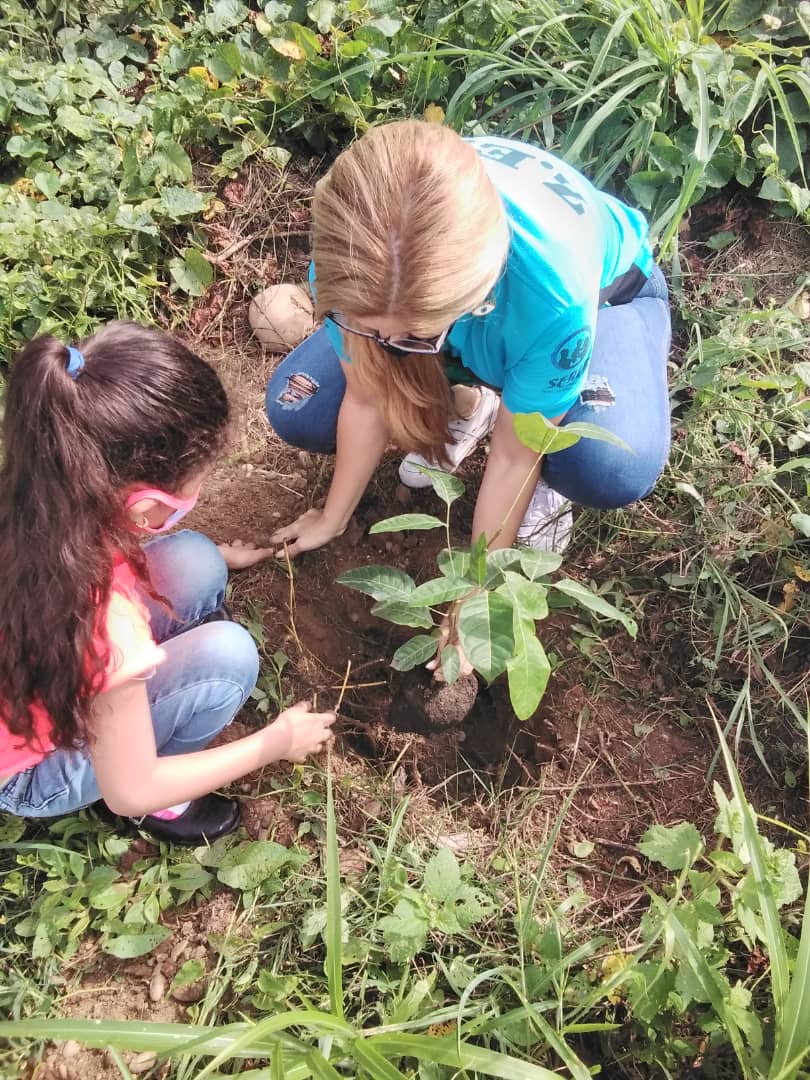 CDCEBarinas's tweet photo. #Barinas | Hoy se realizó la siembra de Árboles en las Instituciones Educativas de la Comunidad Rosa Inés del Municipio BARINAS, en el Marco del Bosque Bicentenario. Un trabajo articulado con DENNPNEE-SENIFA, DJAPA, Súpervision y PTMS #JuntosSomosMas

@MPPEDUCACION
@eduardopiate2 https://t.co/HzBElcZ8A2