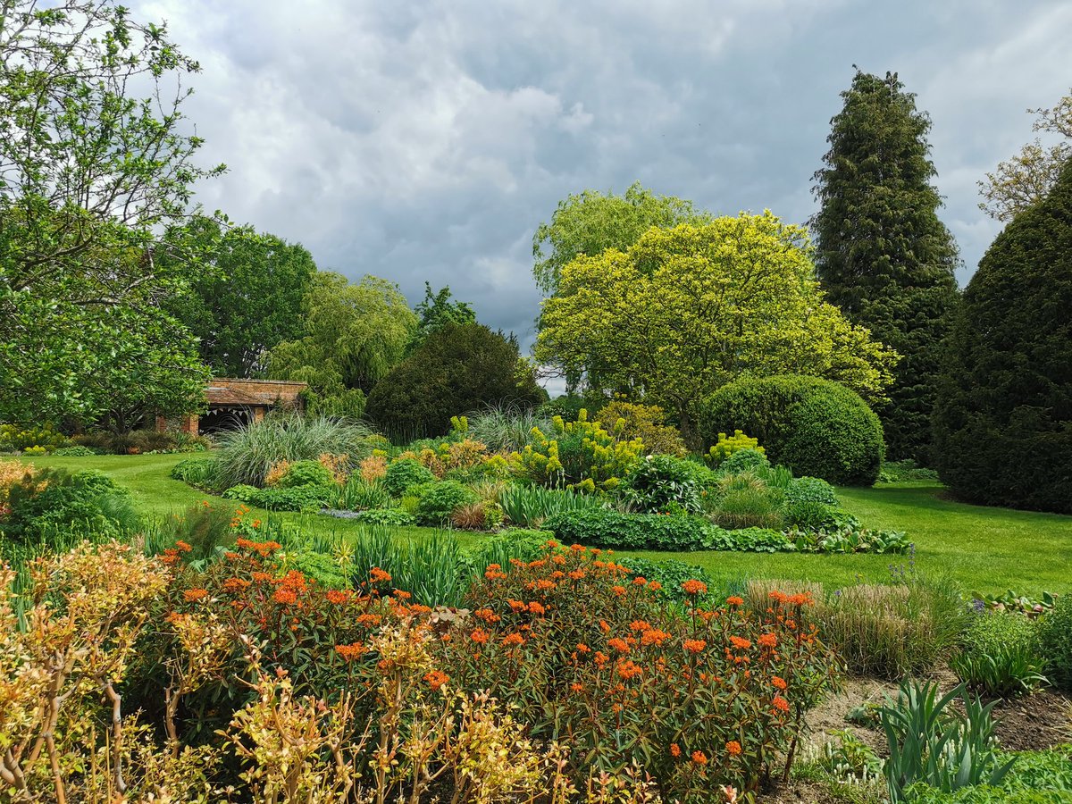 Lunchtime wander and things are definitely growing. The fire borders are still very reliant on the Euphorbias but there is a first Peony flower in there - Sunny Girl - a beautiful, soft creamy yellow with plenty more buds to come.