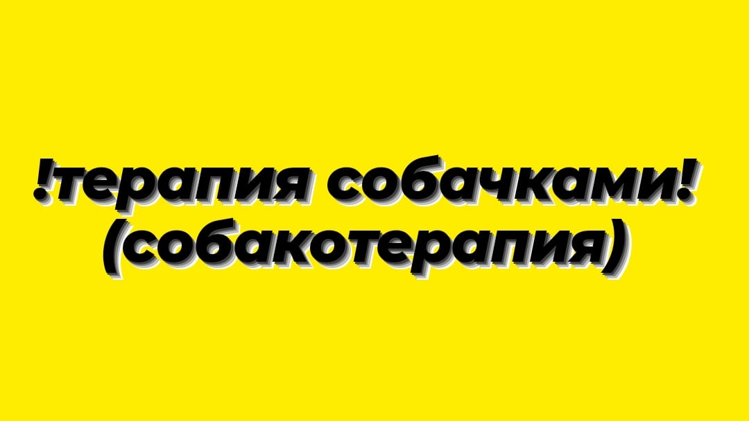 dmdbnlvsu's tweet photo. начинаем мою теперь постоянную рубрику «собакотерапия»! аплодисменты! https://t.co/2JjH4BM2eE