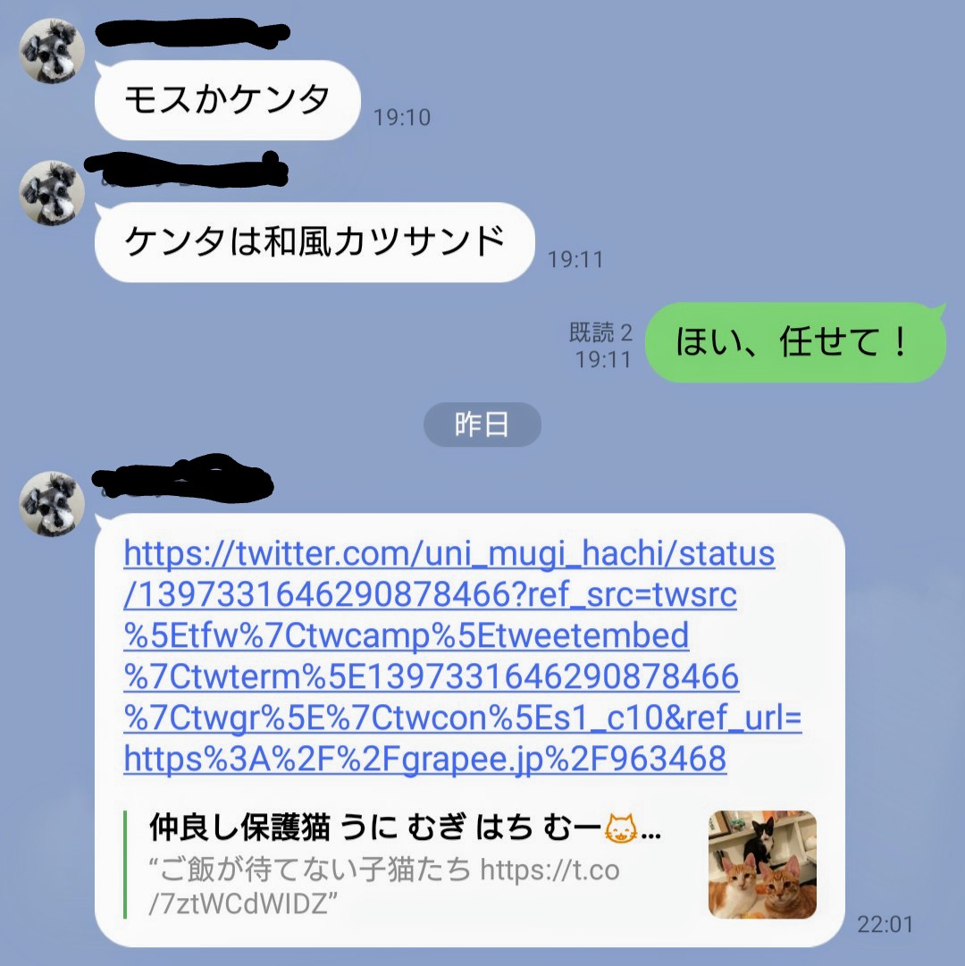 浅見 剛 𝑺𝑶𝑳𝑫 𝑼𝑻 V Twitter 妻から子猫カワイー動画が送られてきたんだけど よく見るとtwitterのurl え Twitter見てんの 見てないよね なんかのニュースサイトから遷移しただけ 週末までにこの投稿が削除されていたら見ていたということでお察し