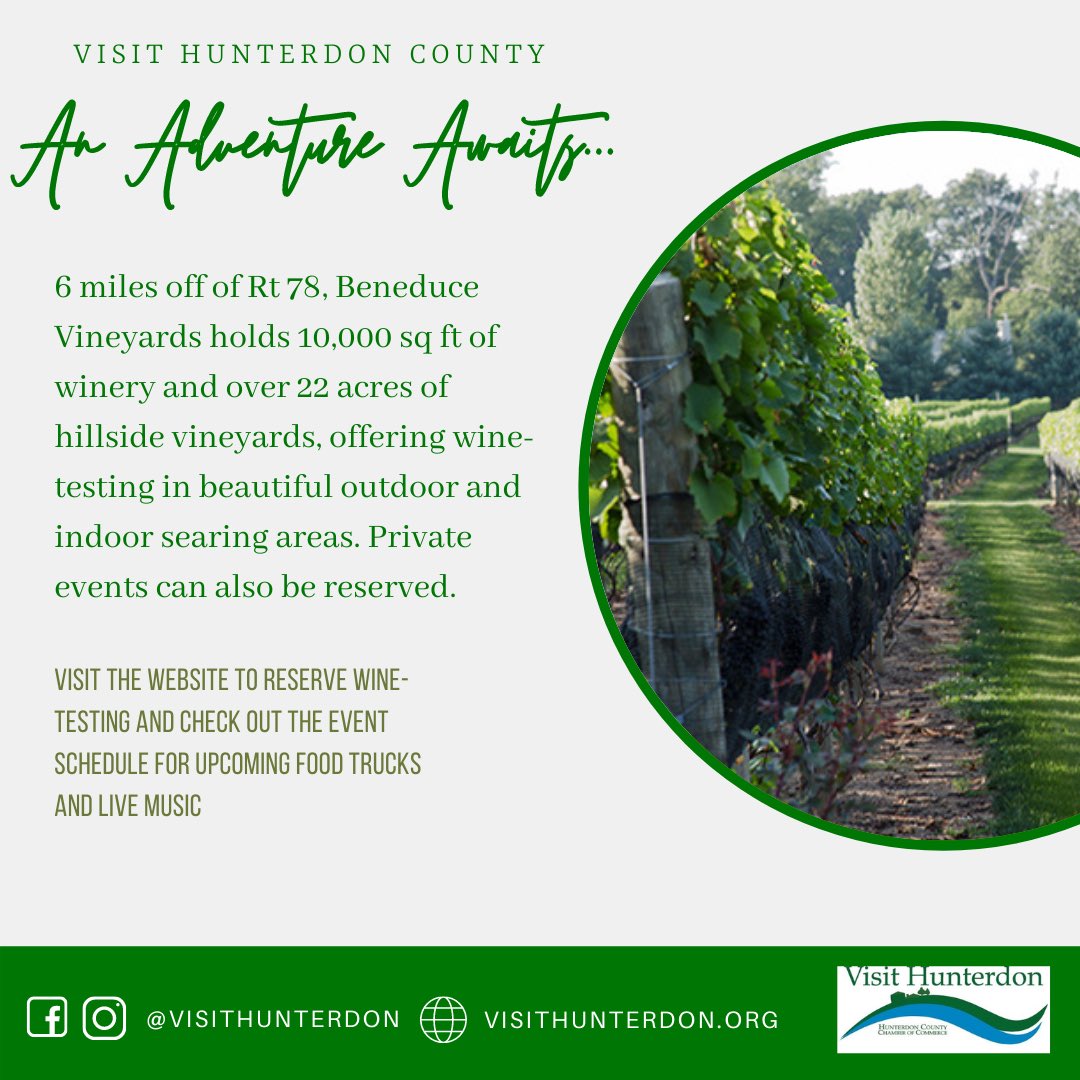 Looking for a place to go wine tasting this summer? 🍷 Visit Beneduce Vineyards located in Pittstown, NJ

Go to www.visit hunterdon.com or beneducevineyards.com for more info 🌟