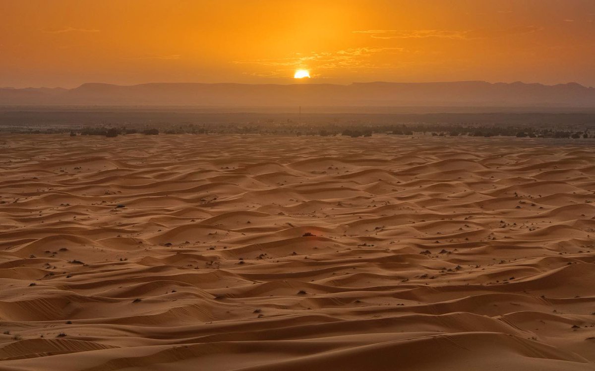Trepitjar les dunes i gaudir de les sensacions que ens ofereix el desert és una de les coses més màgiques que viuràs a Marroc!😍

💯No et quedis amb les ganes i viu l'aventura!

soloraids.com

#Soloraids #MoroccoAdventureTravel #adventure #adventuretime #adventuretravel