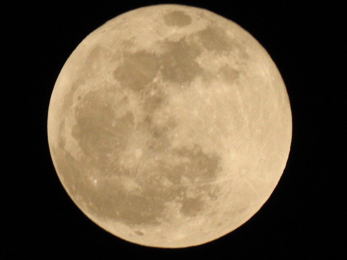 yagnesh83's tweet image. #Mclick Nikon P900